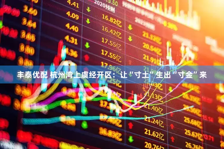 丰泰优配 杭州湾上虞经开区：让“寸土”生出“寸金”来