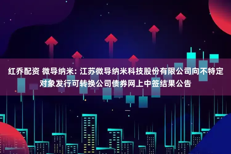 红乔配资 微导纳米: 江苏微导纳米科技股份有限公司向不特定对象发行可转换公司债券网上中签结果公告