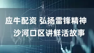 应牛配资 弘扬雷锋精神   沙河口区讲鲜活故事