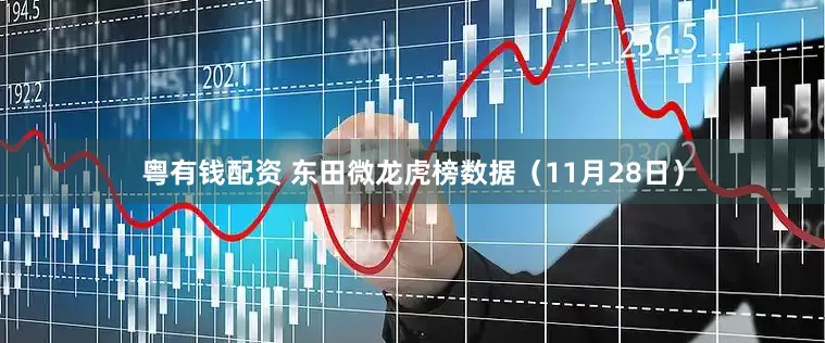 粤有钱配资 东田微龙虎榜数据（11月28日）